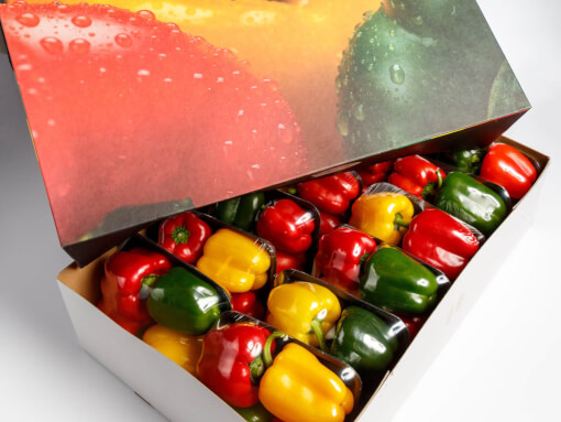 Paprika foodtainer